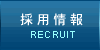�̗p���